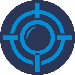 Buzz Bird Spikes Installation