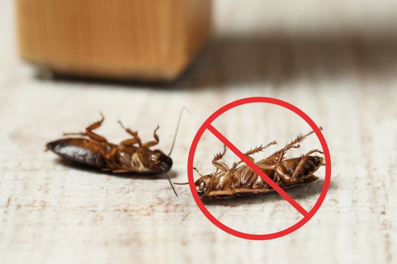Cockroach Clusters