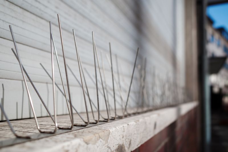 Products For Bird Spikes Installations in use
