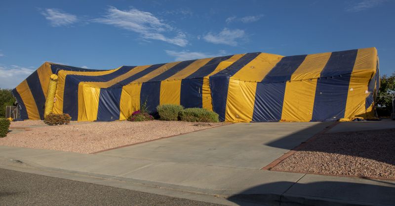 Termite Tenting in Fayetteville, NC