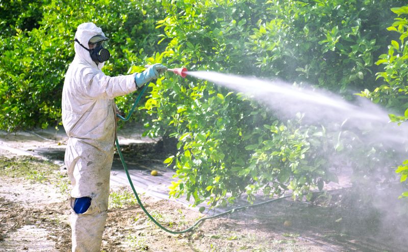 Fumigation Service in Columbus, OH