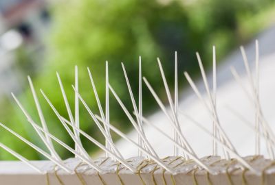 Service Locations for Bird Spikes Installation